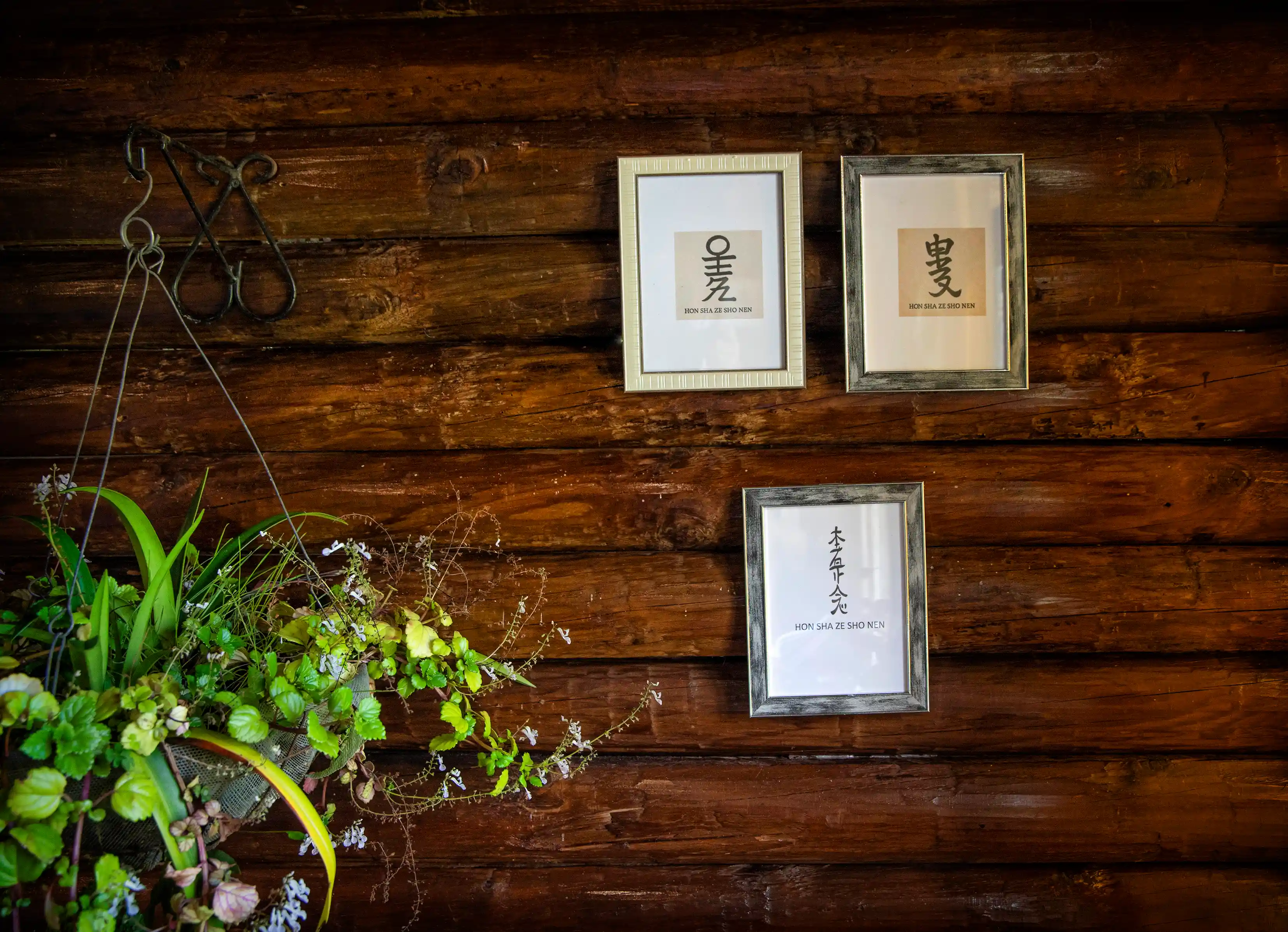 Sanación energética